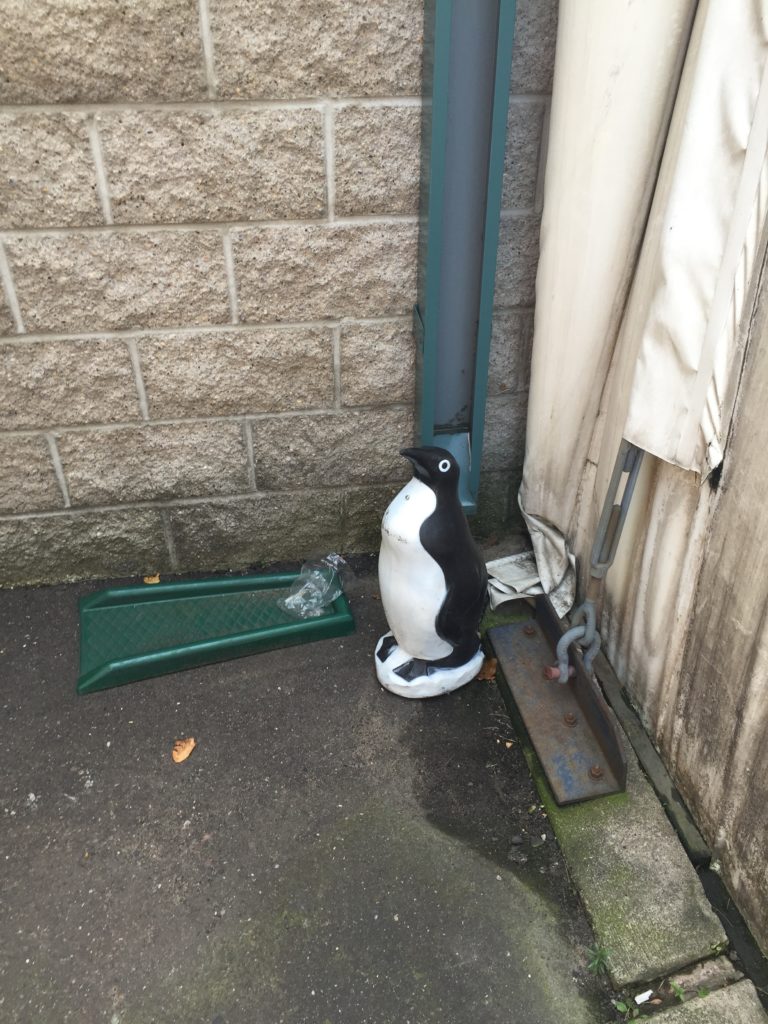 Penguin and garbage on the way to the course