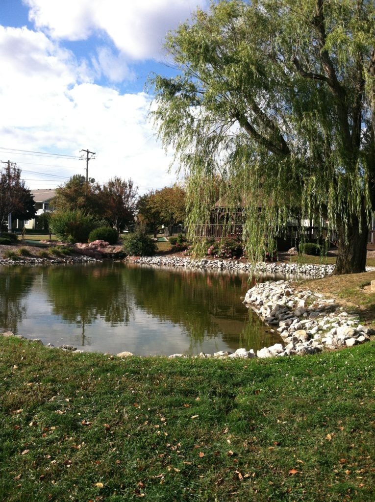 Large willow trees line the pond