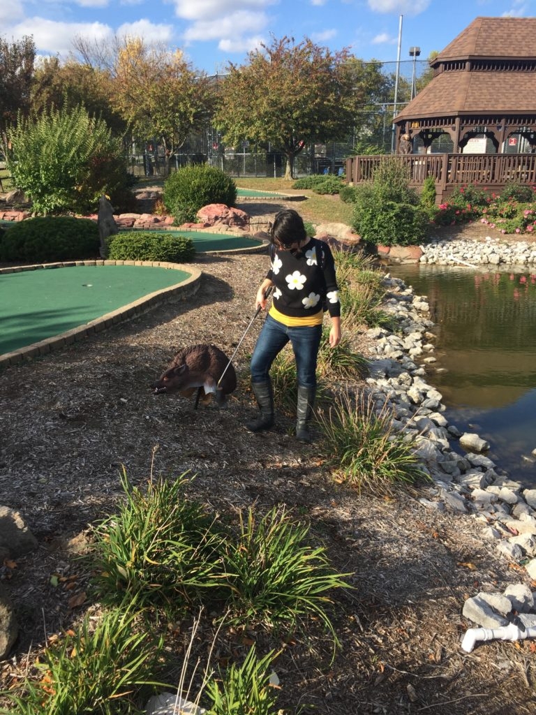 Strange wolf decor, leftover from Halloween perhaps?